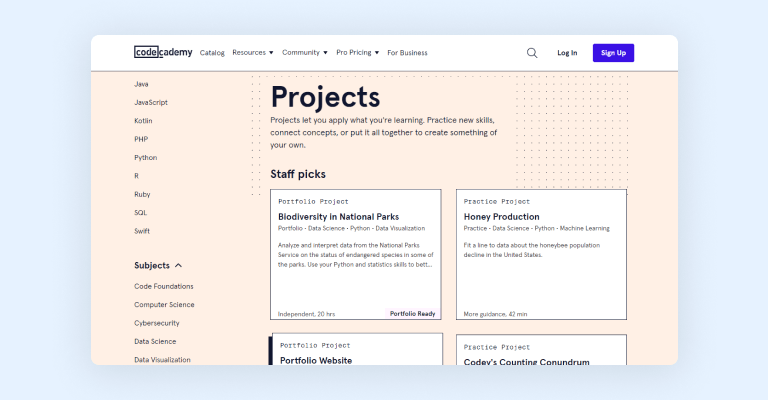 Codecademy projects