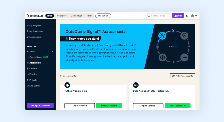 DataCamp assessments